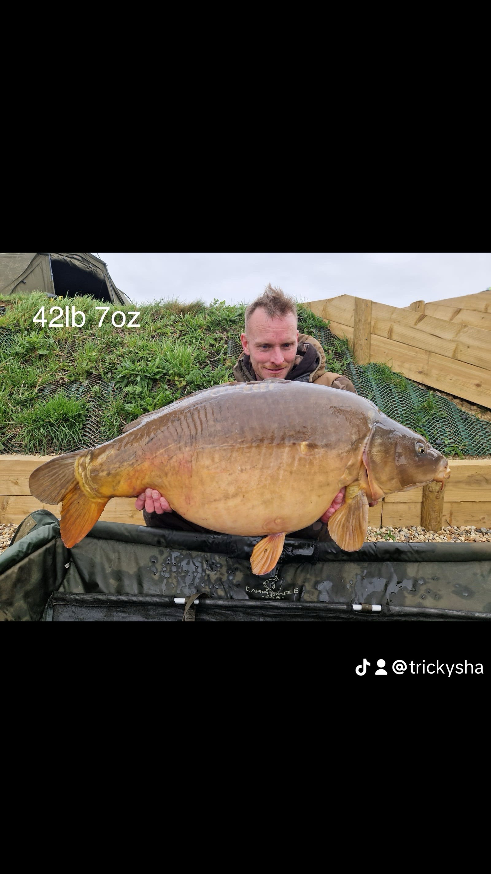 The general | Total Carp